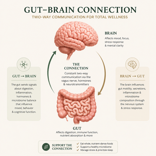 Natural Herbal Gut Health Probiotic Capsules